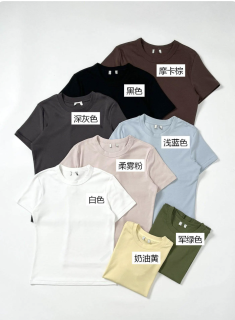 外贸剪标 XS-XXL码棉氨纶正肩小宽松显瘦纯色圆领短袖T恤 简约tee