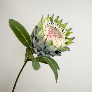 仿真帝王花高档家居花艺装饰南非小菩提花海神花植绒欧式人造花材