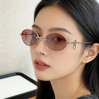 2026新款复古椭圆墨镜女金属偏光变色防紫外线太阳镜个性挂件镜腿